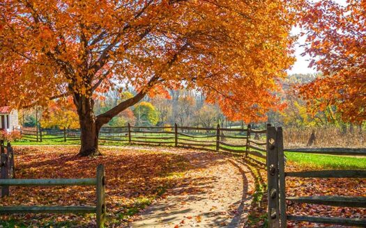 New Jersey Farmland